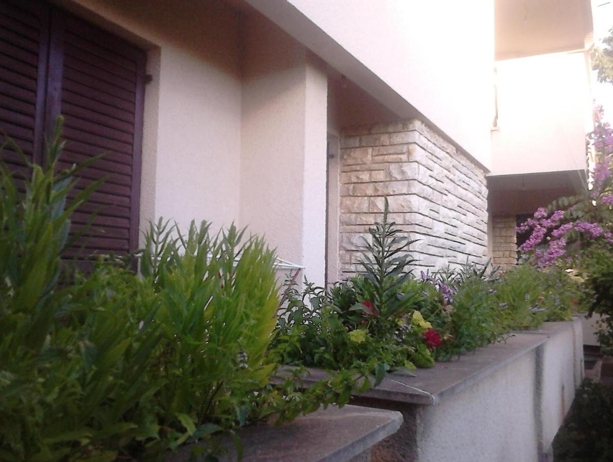 Apartments With A Parking Space Zadar - Diklo, Zadar - 13327 Екстериор снимка